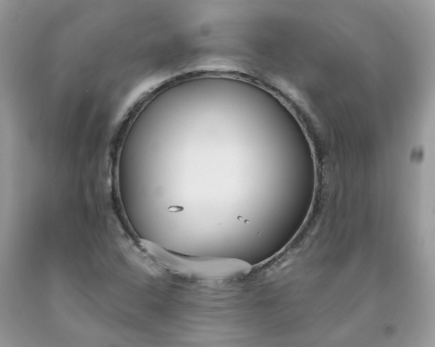 X0000091661408200709061010