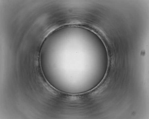 X0000091661409200709061010