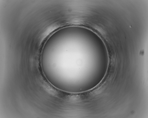 X0000091661410200709061010