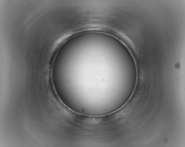 X0000091661411200709061010