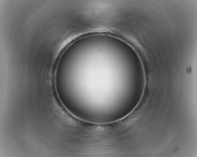 X0000091661412200709061010