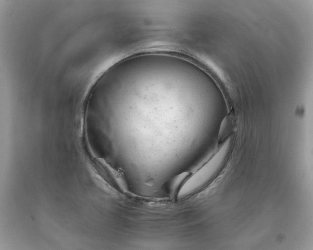 X0000091661413200709061010