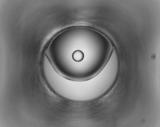 X0000091661414200709061010