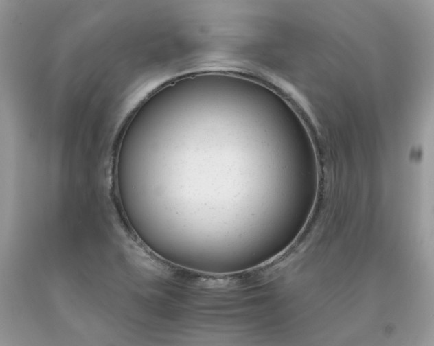 X0000091661415200709061010