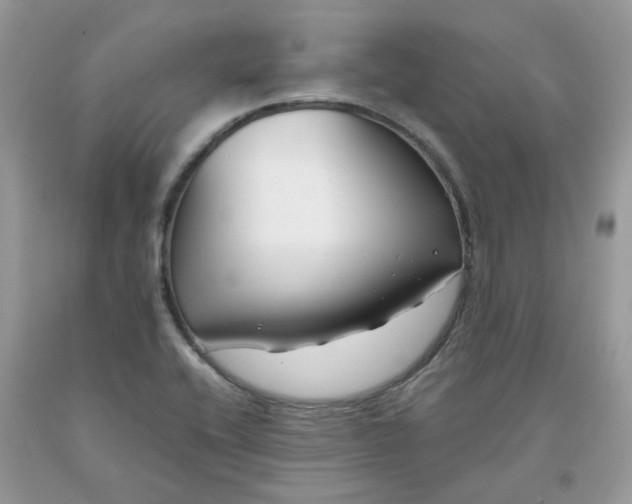 X0000091661416200709061010