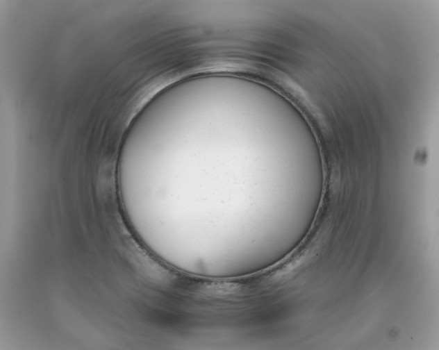 X0000091661417200709061010