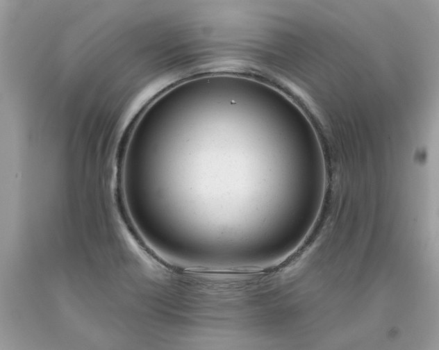 X0000091661418200709061010