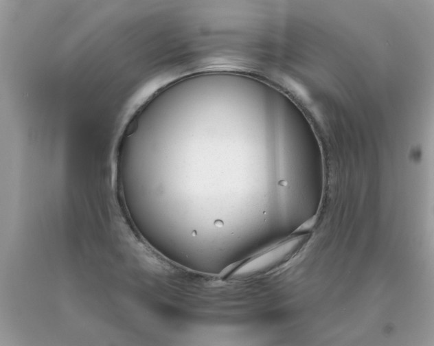 X0000091661419200709061010