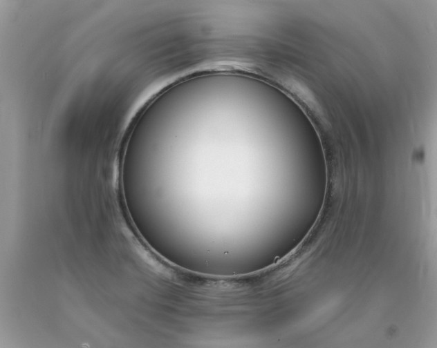 X0000091661420200709061010