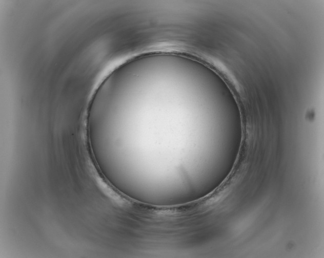 X0000091661421200709061010