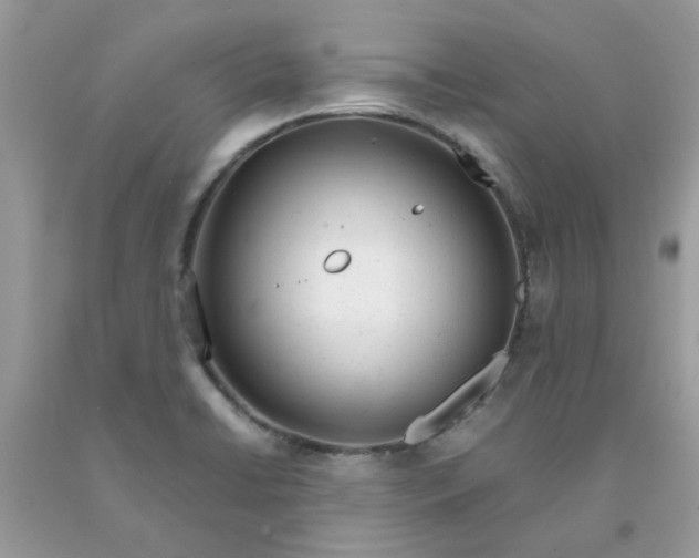 X0000091661422200709061010