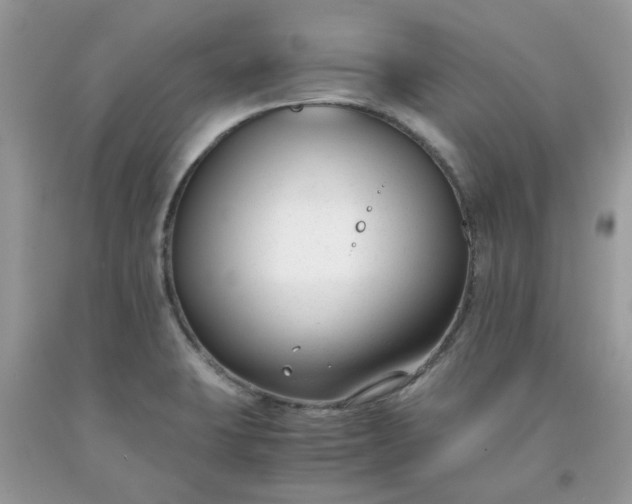 X0000091661423200709061010