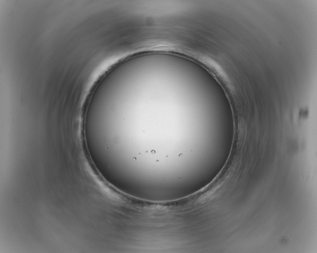 X0000091661424200709061011