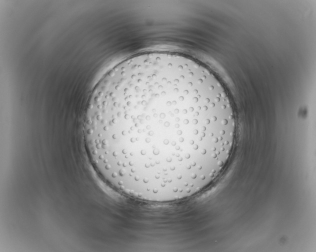 X0000091661425200709061011