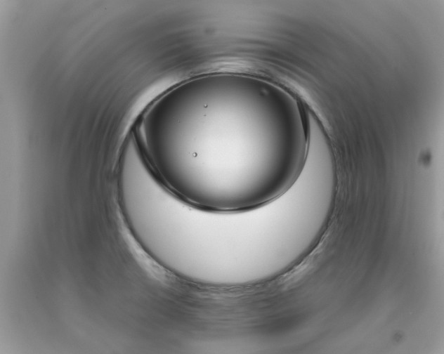 X0000091661426200709061011