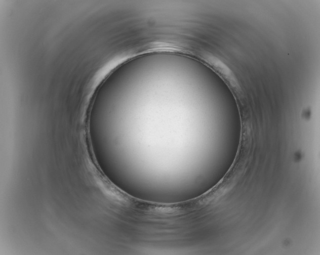 X0000091661427200709061011