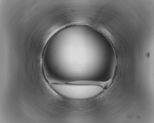 X0000091661428200709061011