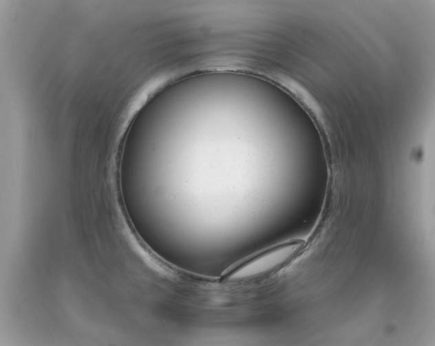 X0000091661429200709061011