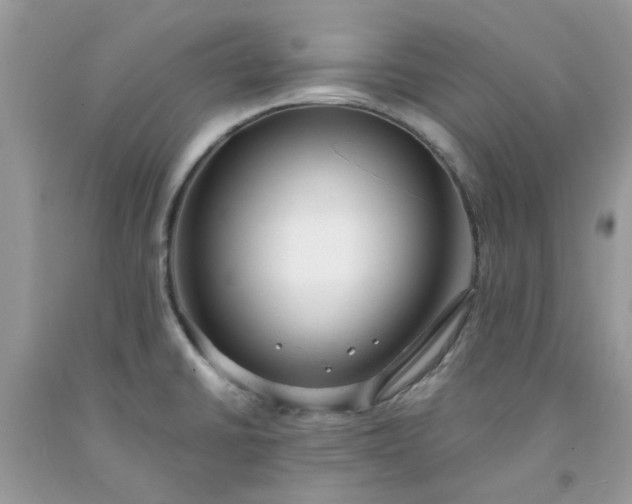 X0000091661430200709061011