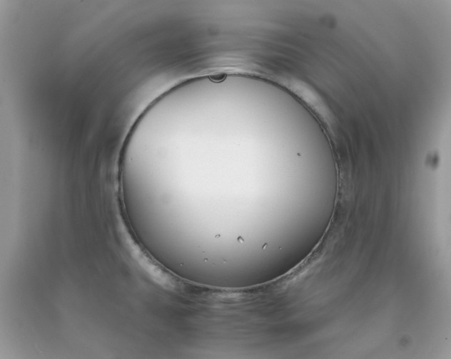 X0000091661431200709061011