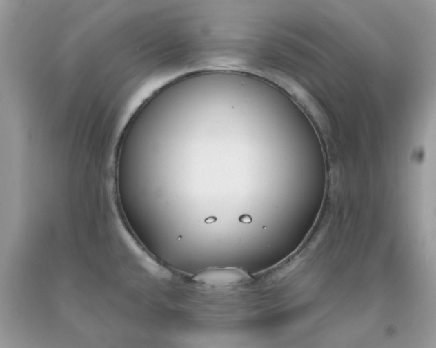 X0000091661432200709061011