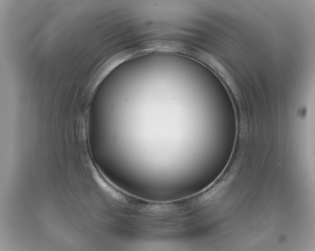 X0000091661433200709061011