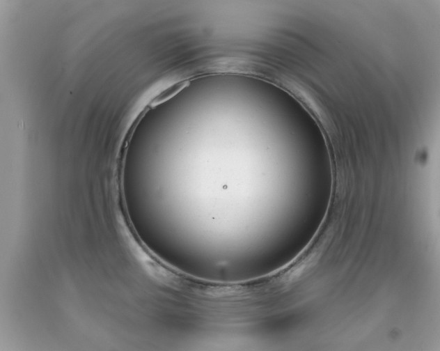 X0000091661434200709061011