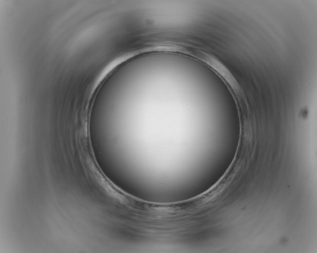 X0000091661436200709061011