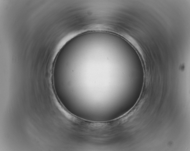 X0000091661437200709061011