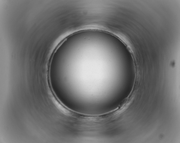 X0000091661438200709061011