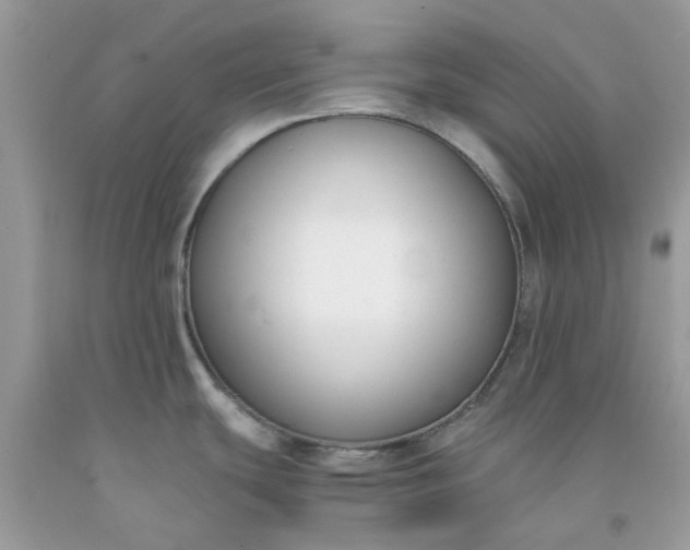 X0000091661439200709061011