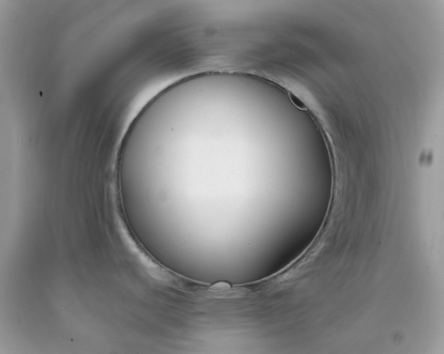 X0000091661440200709061011