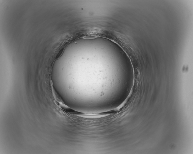 X0000091661441200709061010