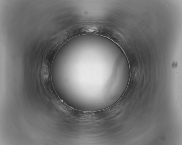 X0000091661442200709061010