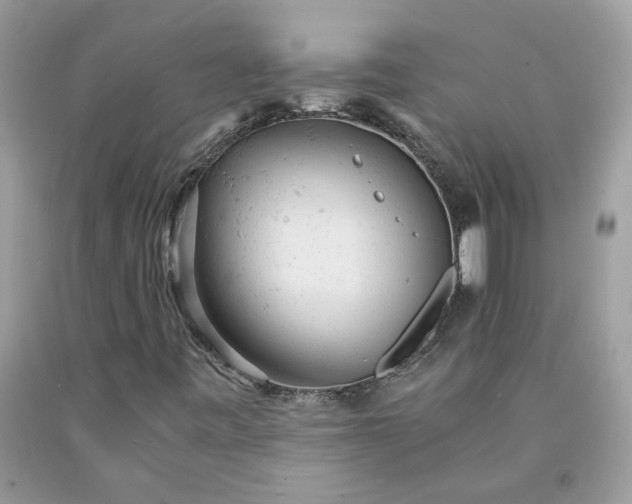 X0000091661443200709061010