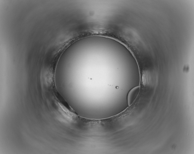 X0000091661444200709061010