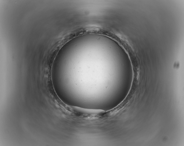 X0000091661445200709061010