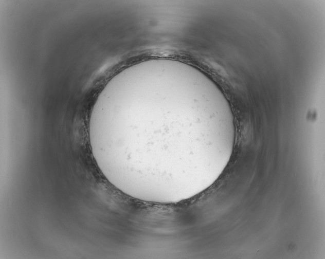 X0000091661446200709061010