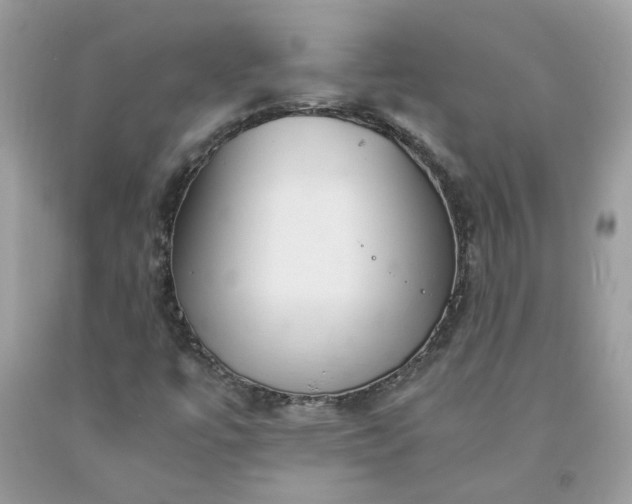 X0000091661447200709061010