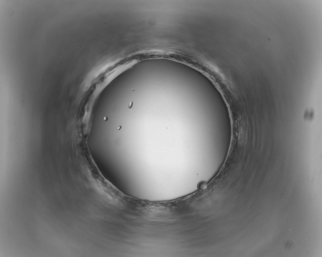 X0000091661448200709061010