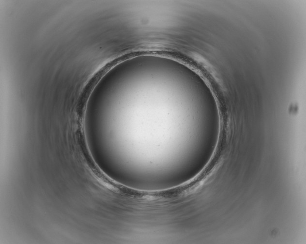 X0000091661449200709061010