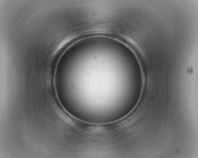 X0000091661450200709061010