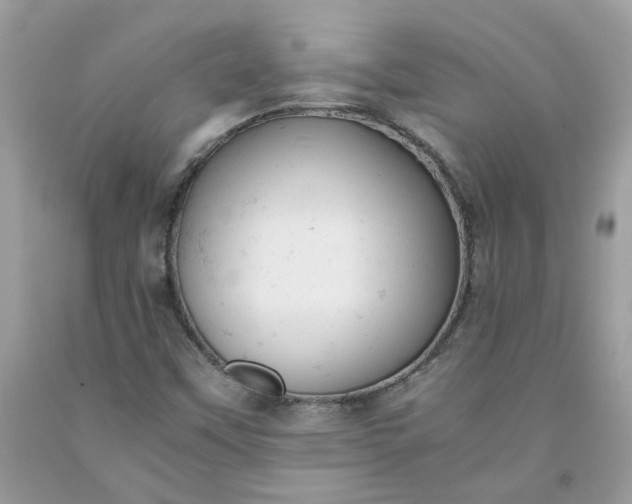 X0000091661451200709061010