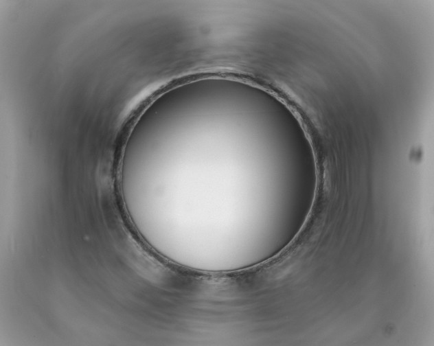 X0000091661452200709061010