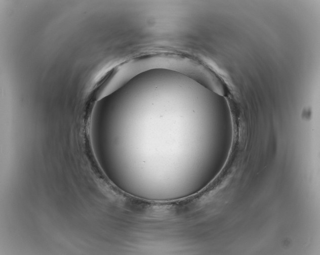 X0000091661453200709061010