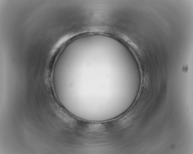 X0000091661454200709061010