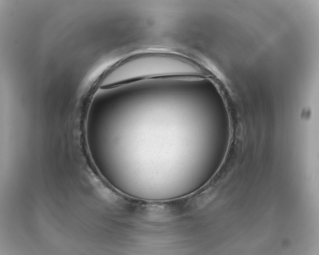 X0000091661456200709061010