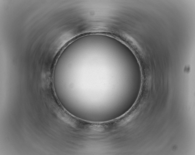 X0000091661457200709061010