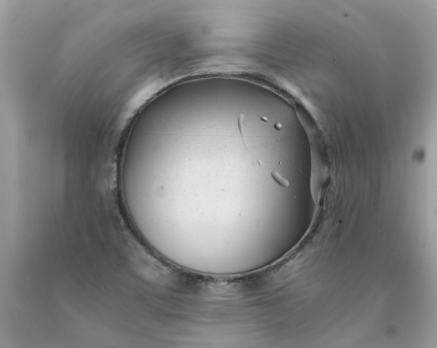 X0000091661459200709061010