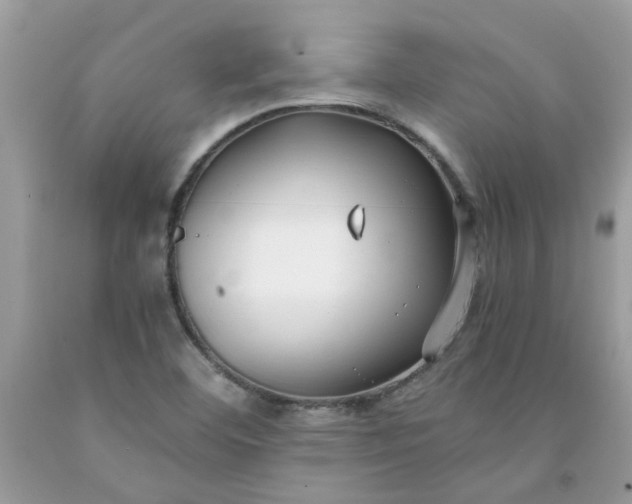 X0000091661460200709061010